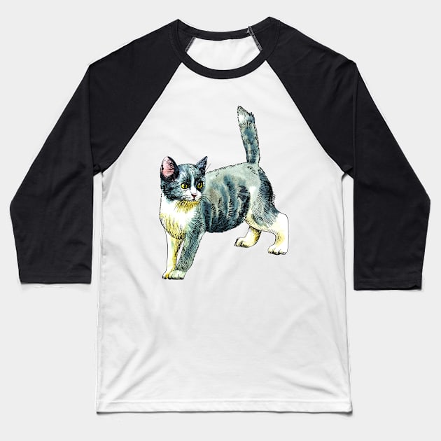 grey kitten Baseball T-Shirt by VicaVeresk